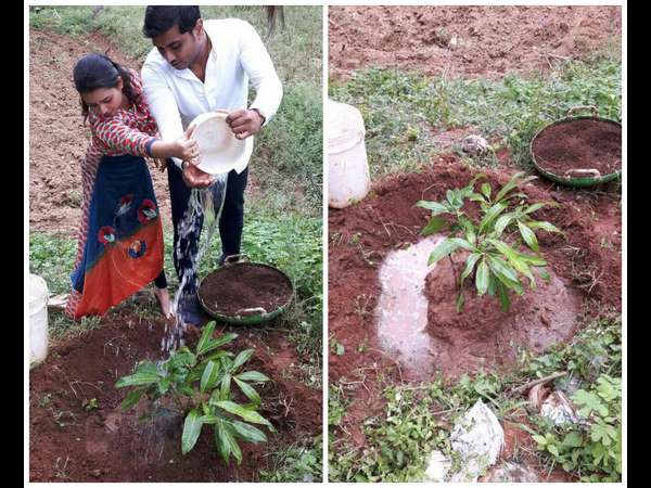 ಗ್ರೋ ಗ್ರೀನ್ ಗ್ರೋ ಗ್ರೀನ್