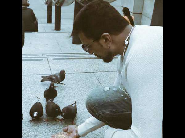 'ಡವ್'ಗಳಿಗೆ ಕಾಳು ಹಾಕಿದ ಕಿಚ್ಚ ಸುದೀಪ್