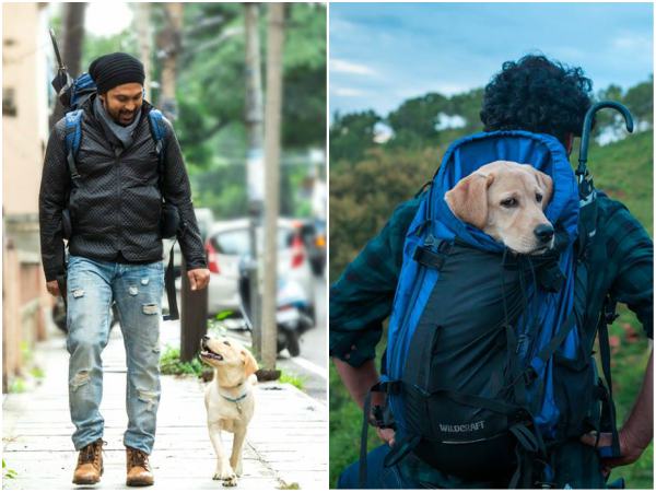 Rakshit Shetty new movie titled as '777 Charlie' Rakshit Shetty new movie titled as '777 Charlie'