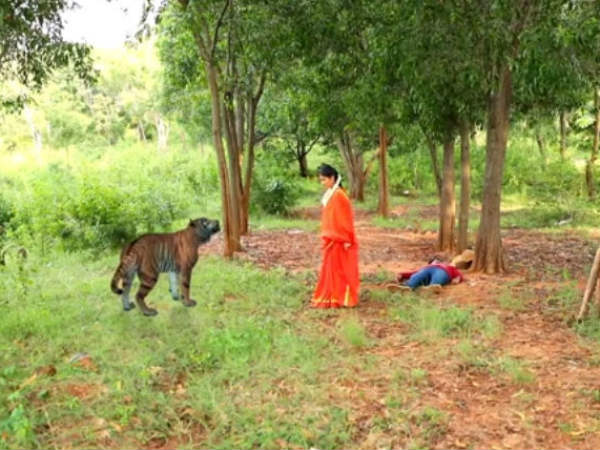 'ನಾ ನಿನ್ನ ಬಿಡಲಾರೆ'ಯಲ್ಲಿ ಹುಲಿ ಪ್ರತ್ಯಕ್ಷ