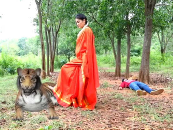 ಹುಲಿ ಪಳಗಿಸಿದ ನಂದಿನಿ