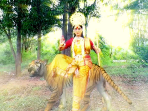 ಹುಲಿಯಲ್ಲೊಂದು ದೆವ್ವ.!