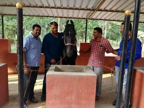 ಫಾರ್ಮ್ ಹೌಸ್ ನಲ್ಲಿ ಬ್ಲಾಕ್ ಹಾರ್ಸ್ 