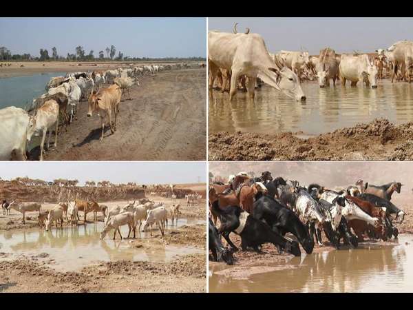 ಕೆರೆಯ ಜೀರ್ಣೋದ್ದಾರಕ್ಕೆ ಯಶೋಮಾರ್ಗ 