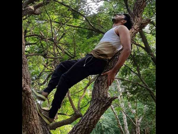 ಸ್ಯಾಂಡಲ್ ವುಡ್ ಗೆ ಹೊಸ ನಾಯಕನ ಎಂಟ್ರಿ 