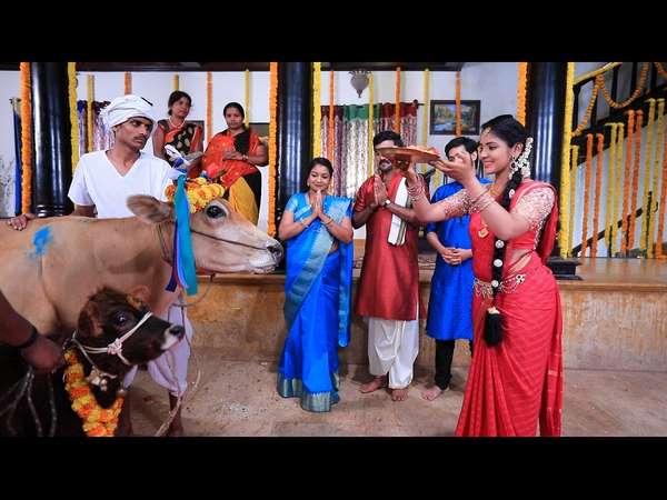 Sankranthi special: 'Kaveri' and 'Dodmane Sose' mahasanchike in Udaya TV Sankranthi special: 'Kaveri' and 'Dodmane Sose' mahasanchike in Udaya TV