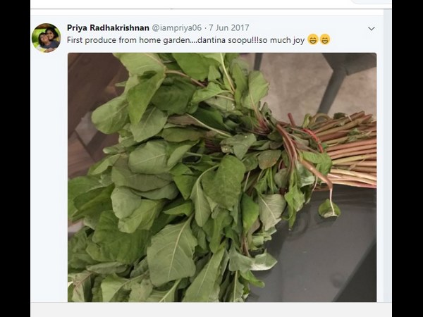 Sudeep's wife Priya Sudeep recently looked Mount Everest from a plane. Sudeep's wife Priya Sudeep recently looked Mount Everest from a plane.