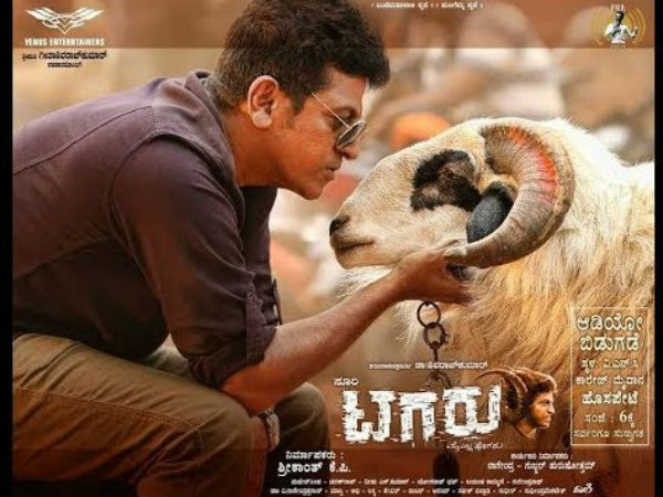 ಹೊರ ರಾಜ್ಯದಲ್ಲೂ ಟಗರು ದರ್ಬಾರ್ 