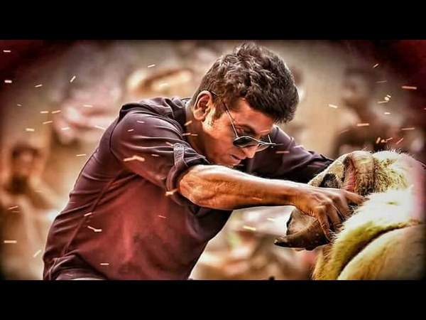 'ಟಗರು' ಚಿತ್ರದ ಬಗ್ಗೆ 