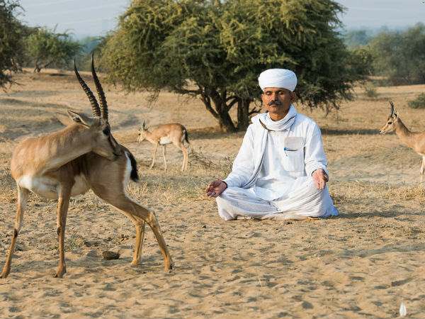 ಬಿಷ್ಣೋಯಿ ಸಮುದಾಯದ ಹಿನ್ನೆಲೆ