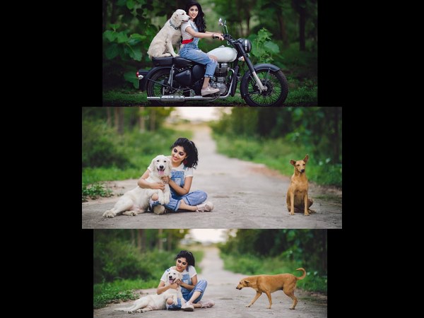 ಮಾರ್ಜಾಲದ ನೋಟಕ್ಕೆ ಫಿದಾ ಮಾರ್ಜಾಲದ ನೋಟಕ್ಕೆ ಫಿದಾ