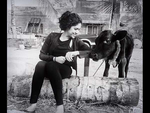 ಪ್ರಾಣಿಪ್ರಿಯೆ ಸಂಯುಕ್ತ ಪ್ರಾಣಿಪ್ರಿಯೆ ಸಂಯುಕ್ತ