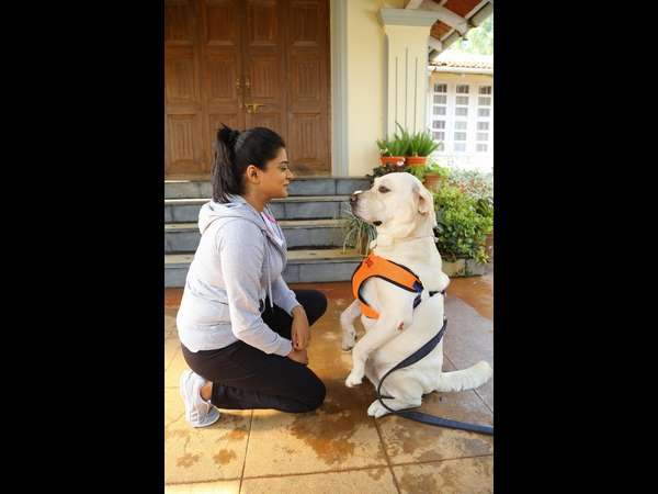 ಐದು ಭಾಷೆಯಲ್ಲಿ ಬಿಡುಗಡೆ 
