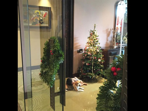 ಮನೆಯೊಳಗೆ ಆಟ-ಪಾಠ