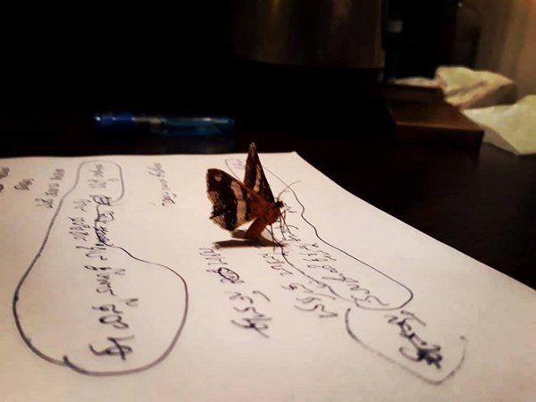 ದುನಿಯಾ ಸೂರಿಯನ್ನ ಗುರುವೆಂದ ಭಟ್ಟರು 