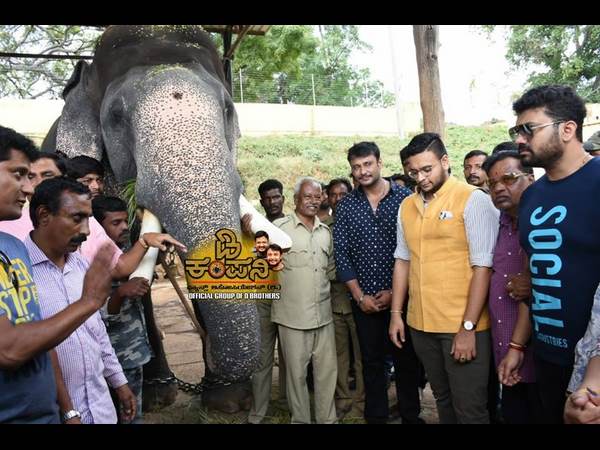 ಗಜಪಡೆಯನ್ನ ಸತ್ಕರಿಸಿದ 'ದಾಸ'