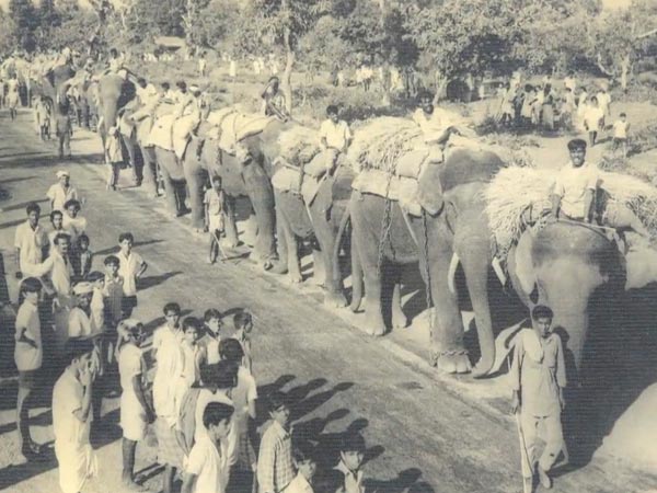 ಆನೆಗಳಿಂದ ಎಳೆಯಲಾಯಿತು