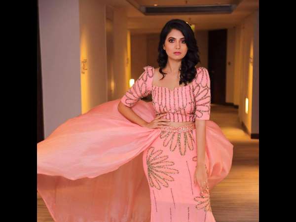 ಕಿರುತೆರೆಯಿಂದ ಬ್ರೇಕ್ ಪಡೆಯುವ ಉದ್ದೇಶ 