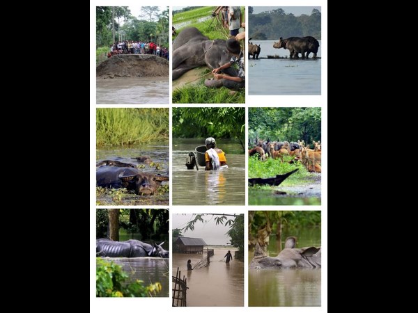 15 ಜನರ ಸಾವು, 46ಲಕ್ಷ ಜನರು ಸಂಕಷ್ಟದಲ್ಲಿ