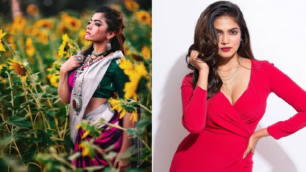 ಮಾಳವಿಕಾ ಮೋಹನನ್ ಜಾಗಕ್ಕೆ ರಶ್ಮಿಕಾ ಮಂದಣ್ಣ.?