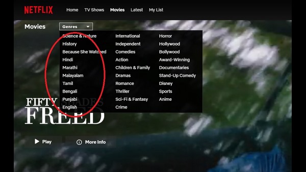 ಕನ್ನಡ ಆಯ್ಕೆಯನ್ನೇ ಕೊಟ್ಟಿಲ್ಲ ನೆಟ್‌ಫ್ಲಿಕ್ಸ್‌