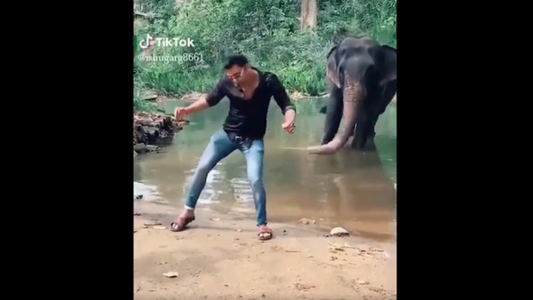 ಆನೆ ಜತೆ ಟಿಕ್ ಟಾಕ್ ವಿಡಿಯೋ ಆನೆ ಜತೆ ಟಿಕ್ ಟಾಕ್ ವಿಡಿಯೋ