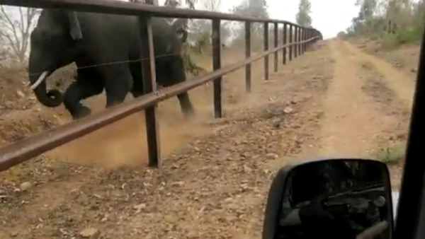 ಮೋಜಿಗಾಗಿ ಮಾಡಿದ್ದು ಸ್ಪಷ್ಟ