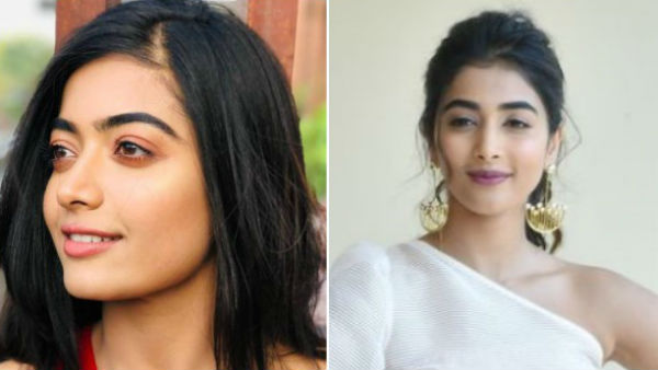 will-pooja-hegde-replace-rashmika-mandanna-in-naga-chaitanya-film will-pooja-hegde-replace-rashmika-mandanna-in-naga-chaitanya-film