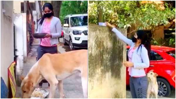 ಬೀದಿನಾಯಿಗಳಿಗೆ ಆಸರೆಯಾದ ಮೇಘಾ