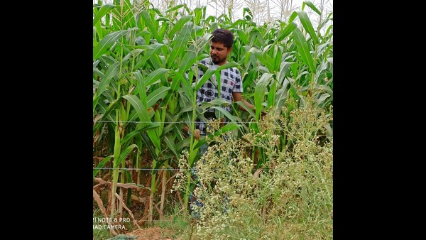 ಗೋಶಾಲೆಗೆ ಸಹಾಯ