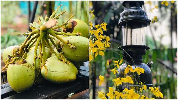 ಹಳ್ಳಿ ಶೈಲಿ ಹುಟ್ಟುಹಬ್ಬ ಆಚರಣೆ ಅಭಿಮಾನಿಗಳು ಫಿದಾ