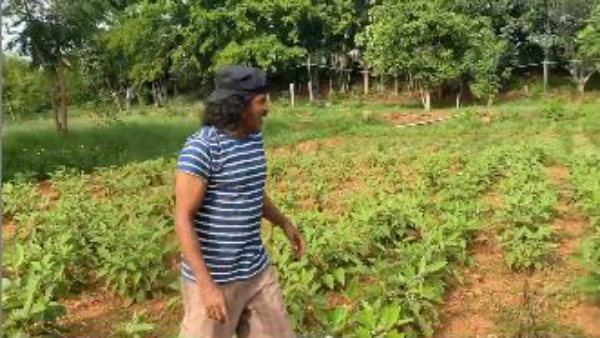 ಉಪ್ಪಿ ಜಮೀನಿನಲ್ಲಿ ಬೆಳೆಯುವ ಬೆಳೆ ಉಪ್ಪಿ ಜಮೀನಿನಲ್ಲಿ ಬೆಳೆಯುವ ಬೆಳೆ