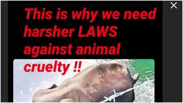 ಅನುಷ್ಕಾ ಶರ್ಮಾ ಅನುಷ್ಕಾ ಶರ್ಮಾ