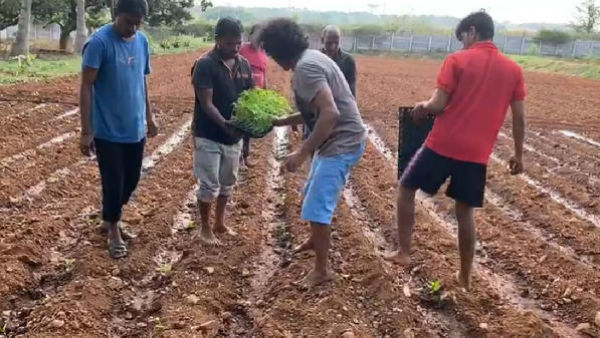 ತರಕಾರಿ ಬೆಳೆದು ತೋರಿಸಿದ ಉಪ್ಪಿ ತರಕಾರಿ ಬೆಳೆದು ತೋರಿಸಿದ ಉಪ್ಪಿ