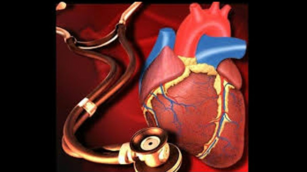 ನಾವೇನು ಮಾಡಬೇಕು? 