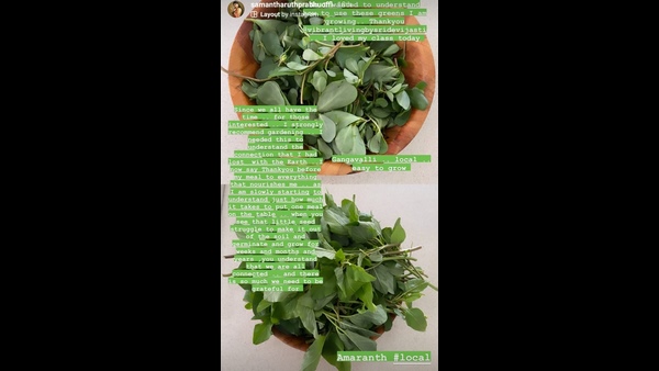 ಗಾರ್ಡನಿಂಗ್ ಮಾಡಿ ಗಾರ್ಡನಿಂಗ್ ಮಾಡಿ