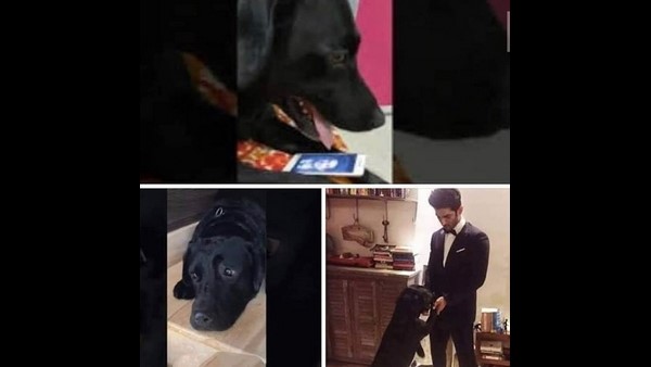 ಎಲ್ಲ ಮರೆತರೂ ತೊಂದರೆಯಿಲ್ಲ