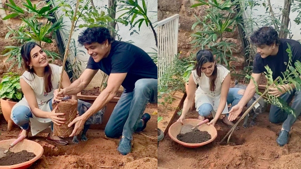 ಮಾವನ ಜೊತೆ ಗಿಡನೆಡುತ್ತಿರುವ ಸಮಂತಾ ಮಾವನ ಜೊತೆ ಗಿಡನೆಡುತ್ತಿರುವ ಸಮಂತಾ