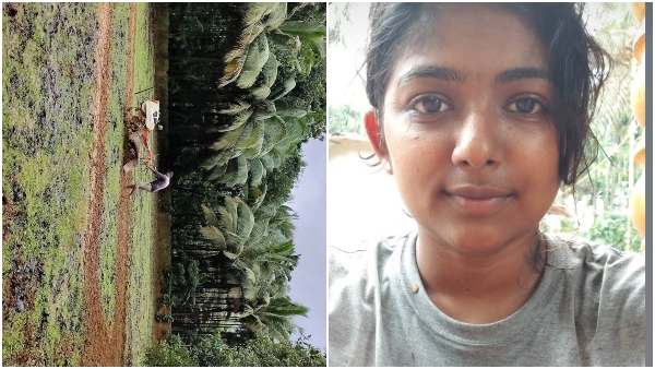 ಗೊಬ್ಬರ ಹೊತ್ತು, ನಾಟಿ ಮಾಡುತ್ತಿದ್ದಾರೆ ಭೂಮಿ