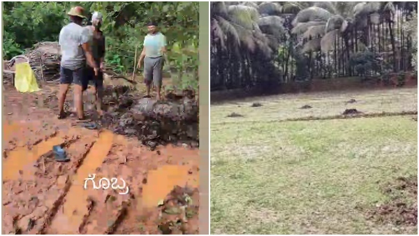 ಬಿಗ್ ಬಾಸ್-7 ನ ಫೈನಲಿಸ್ಟ್