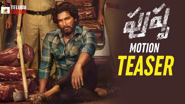 ಪುಷ್ಪ ಚಿತ್ರದಲ್ಲಿ ನಟನೆ