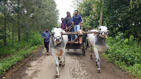 ಟ್ರ್ಯಾಕ್ಟರ್, ಎತ್ತಿನ ಗಾಡಿಯಲ್ಲಿ ನಟ