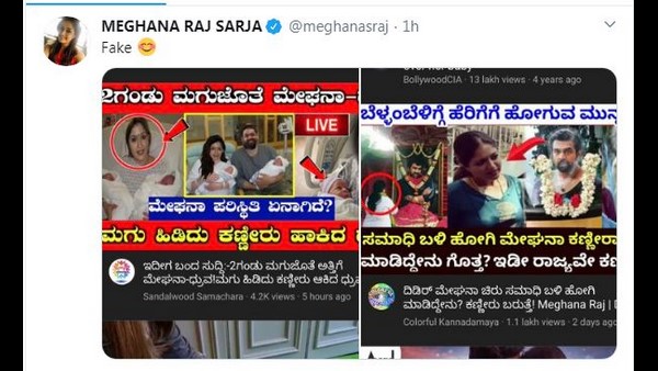 ಮೇಘನಾ ರಾಜ್ ಬಗ್ಗೆ ಹೀಗೆಲ್ಲ ಸುಳ್ಳು ಸುದ್ದಿ