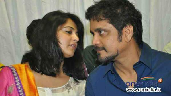 3 ನಟಿಯರ ಜೊತೆ ನಾಗಾರ್ಜುನ್ ಹೆಸರು ಲಿಂಕ್ ಅಪ್ 3 ನಟಿಯರ ಜೊತೆ ನಾಗಾರ್ಜುನ್ ಹೆಸರು ಲಿಂಕ್ ಅಪ್