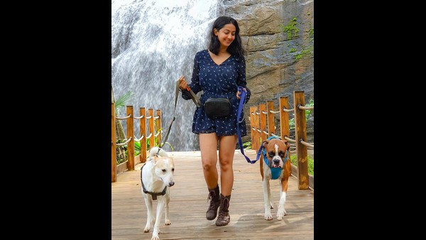 Aindrita Ray Talks about No Law Implemented against Animal Cruelty