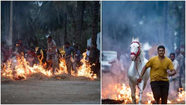 ಕುತೂಹಲ ಮೂಡಿಸಿದೆ ದರ್ಶನ್ ಮುಂದಿನ ಸಿನಿಮಾ