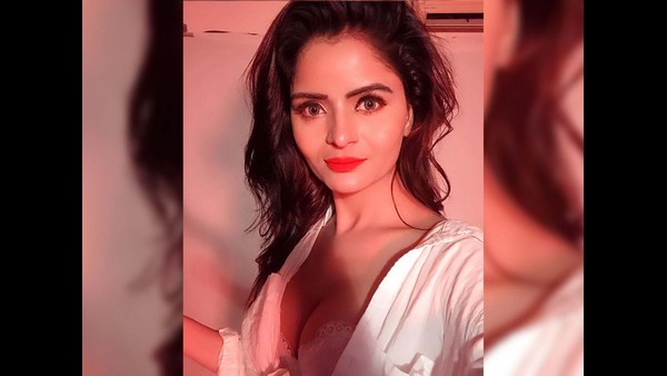 ವೆಬ್ ಸೀರೀಸ್‌ನಲ್ಲಿ ಅವಕಾಶ ಕೊಡಿಸುವುದಾಗಿ ವಂಚನೆ