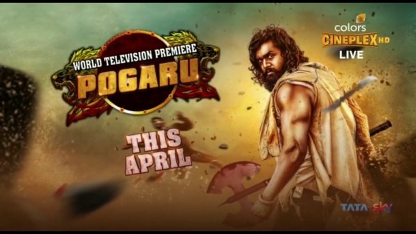 ಹಿಂದಿಯಲ್ಲಿ ಪೊಗರು ಪ್ರಸಾರ