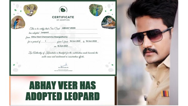 ಚಿರತೆ ದತ್ತು ಪಡೆದ ಅಭಯ್ ವೀರ್ 