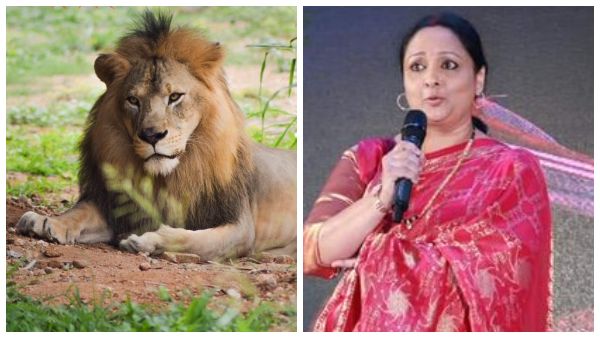 Shylaja Nag Adopts A Lion And Named It As Darshan Shylaja Nag Adopts A Lion And Named It As Darshan